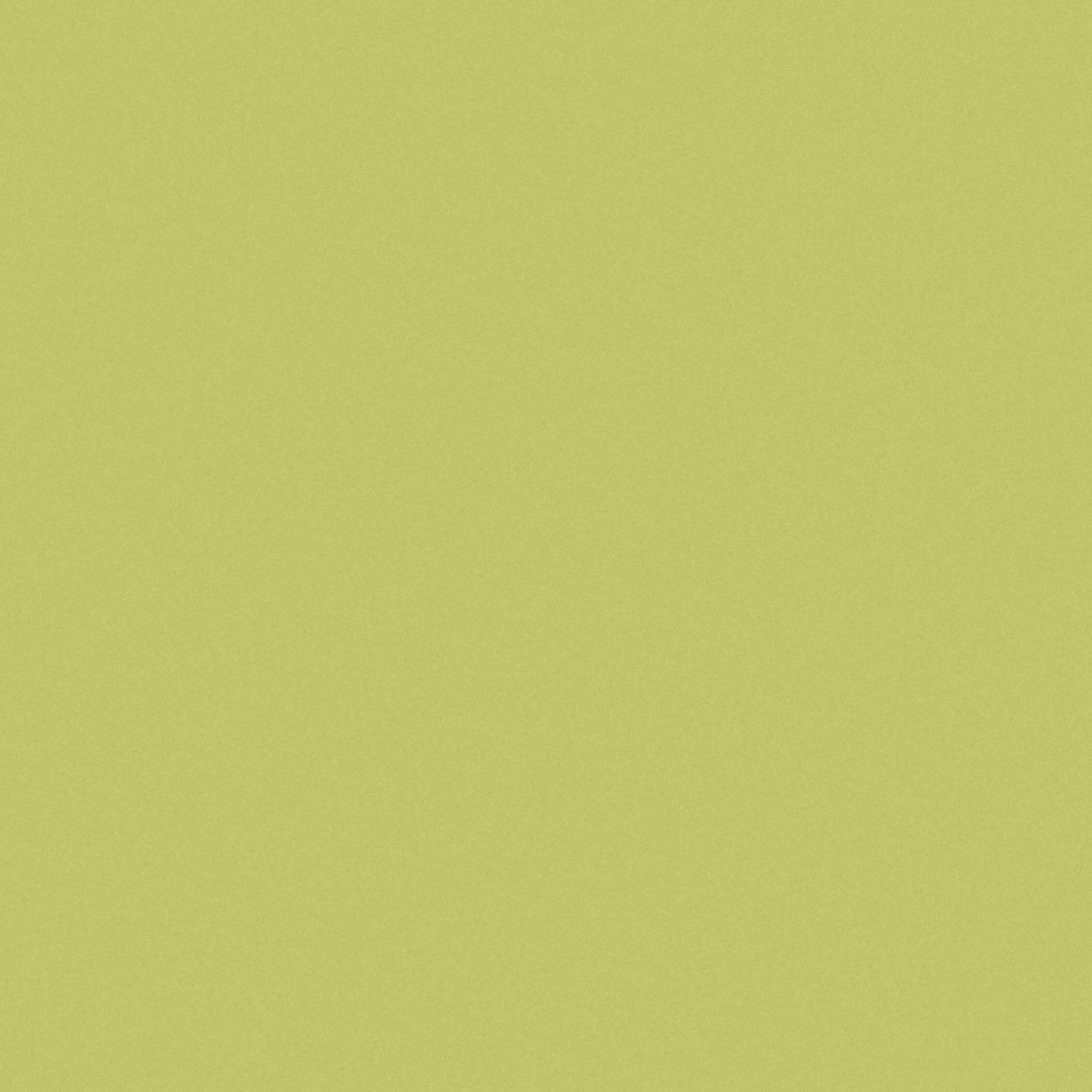 Wasabi