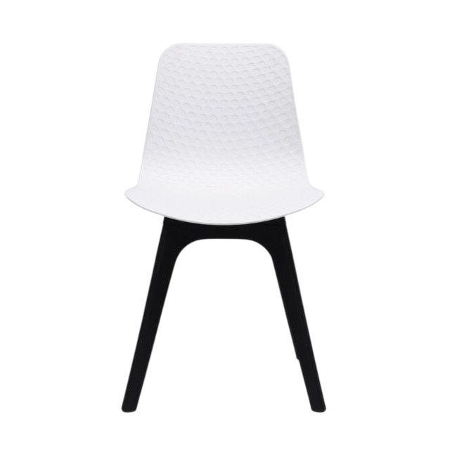 White Shell with Black Base