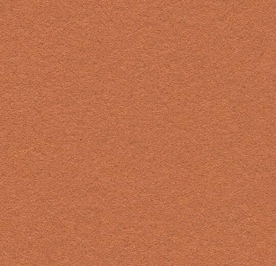 Cinnamon Bark