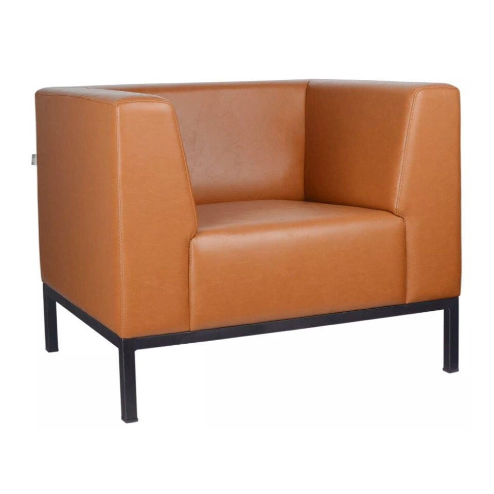 Tan with Black Legs