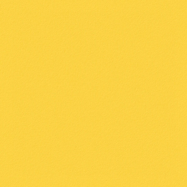 Golden Wattle