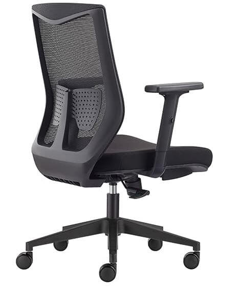 Holly back side view