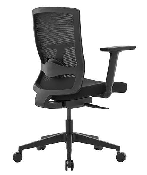 DRAFT_Back side view