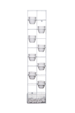 Rapid-Bloom-W-1-667x1000