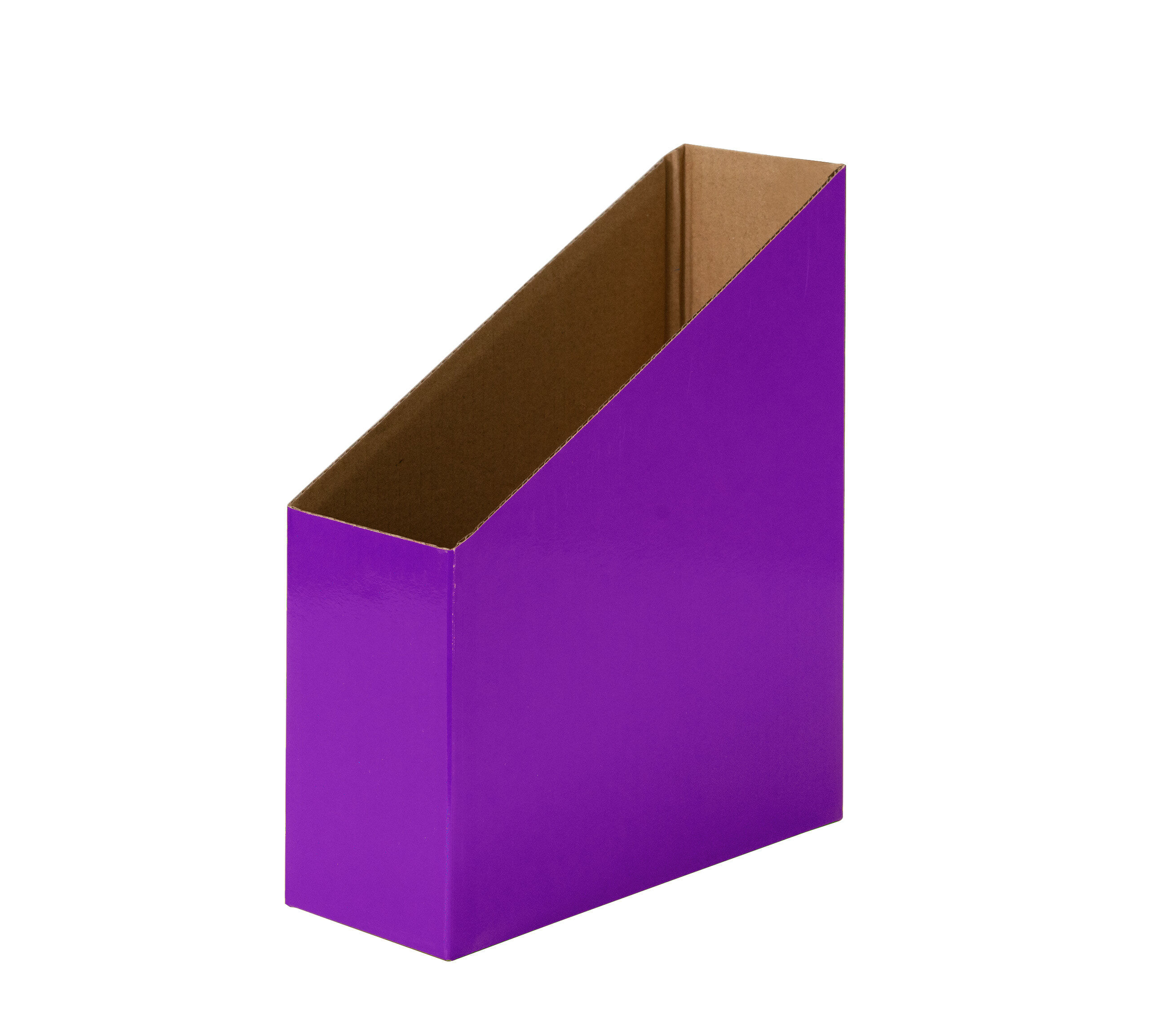 Purple (Pack of 5)