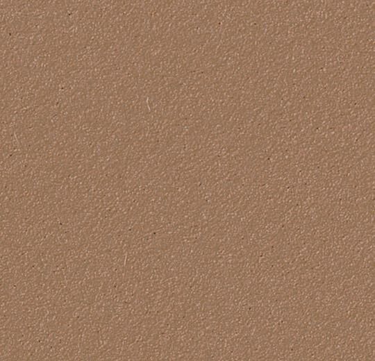 Nutmeg Spice