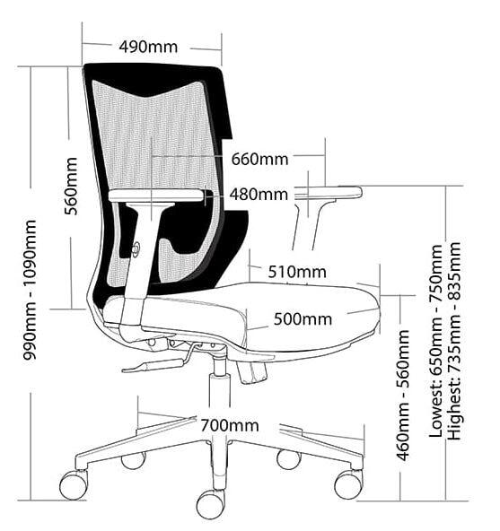 Holly with Dimension
