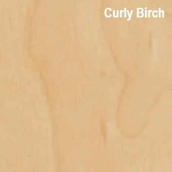 Curly Birch NEW