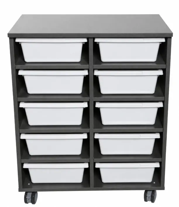 10 Bay WITH White SASSY Tote Trays